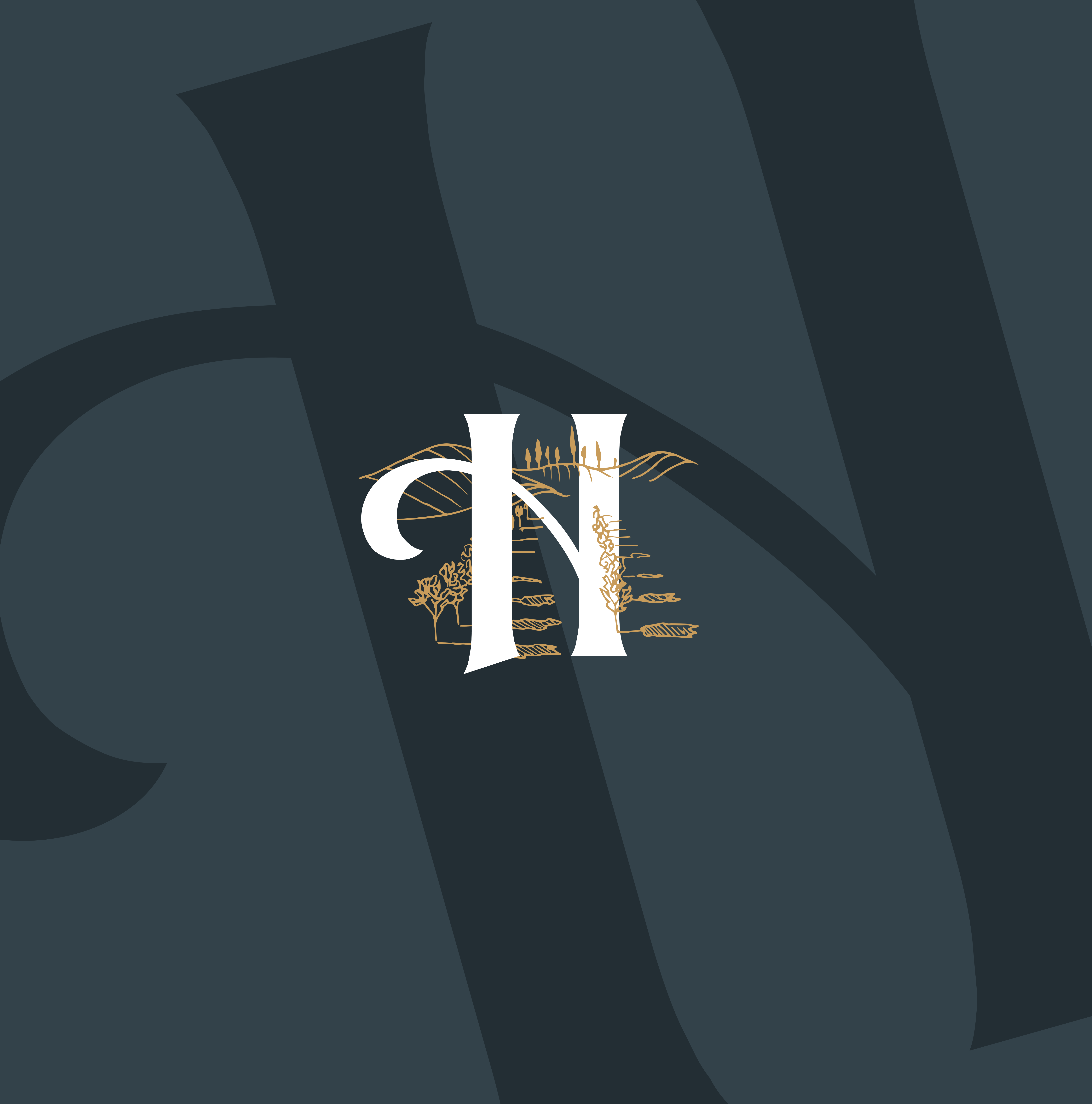 logo page vins